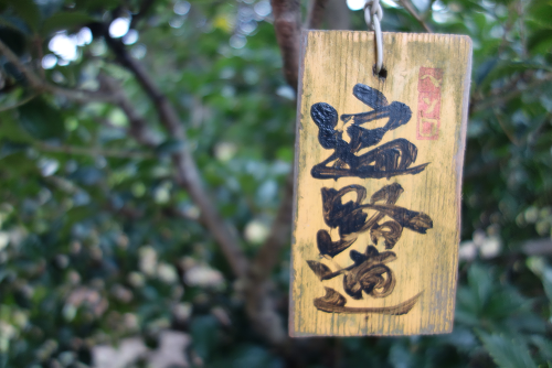 Schild